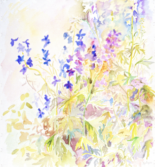 lnd-glry-img14