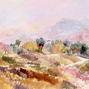 Mountain View, Palm Springs