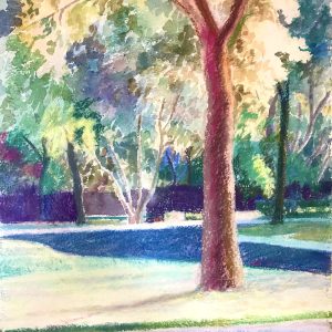 Tree in the Cul de Sac, Windsor Road