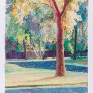 Tree in the Cul de Sac, Windsor Road